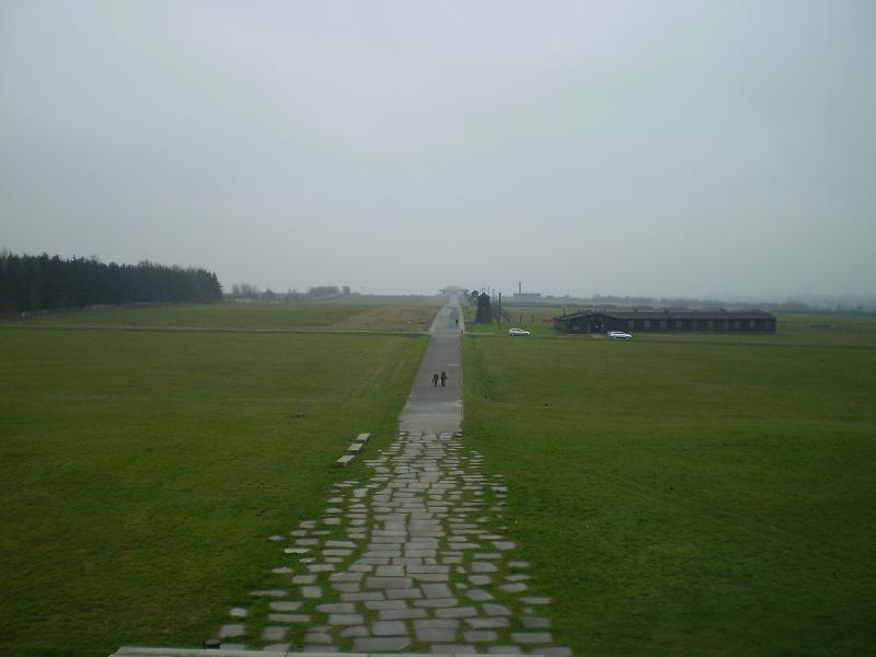 243.JPG - The road to Majdanek
