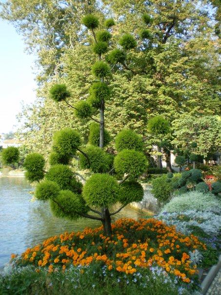 13_parco_civico.jpg - The Parco Civico boasts a really extensive collection of plants