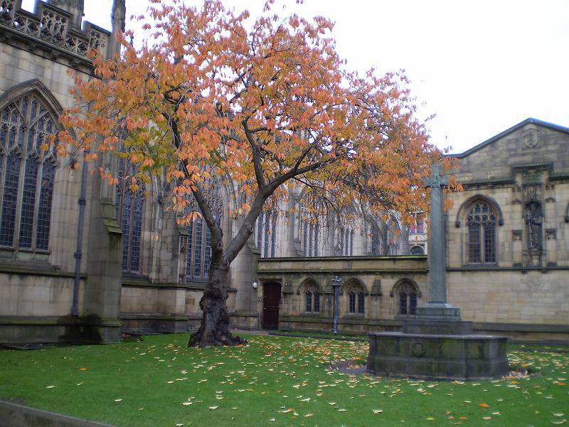038.JPG - The Manchester Cathedral