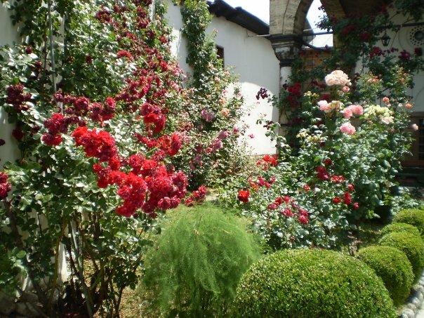 Bascarsija_004.jpg - A rose garden in Baščaršija