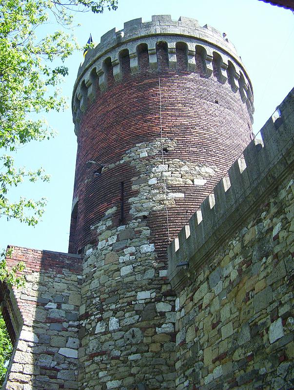 100_1808.jpg - The Vlad Tepes Castle