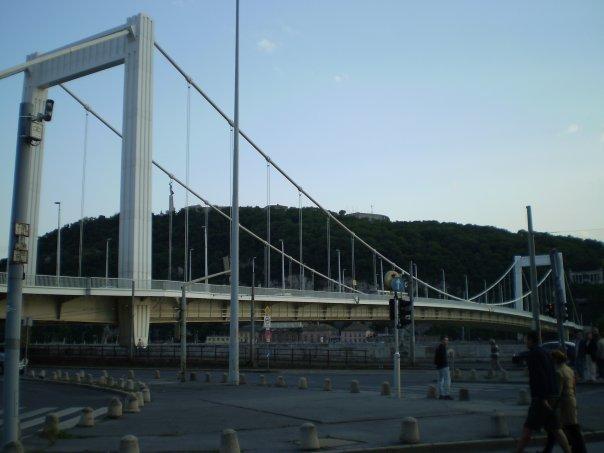 08_erzsebet_hid.jpg - Elisabeth Bridge and Gellért Hill