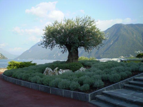 02_paradiso.jpg - Paradiso, a small town located along Lake Lugano